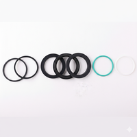 Joints d'étanchéité rotatifs personnalisés TF TRI TSI TF de haute qualité en caoutchouc PTFE PU pour applications hydrauliques