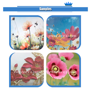 Perfecto láser-tela de pared de vidrio de madera Mural de cerámica 3D Mural de pared digital automático máquina de impresión de pared <span class=keywords><strong>pintura</strong></span> de efecto 3D - Product Image 4