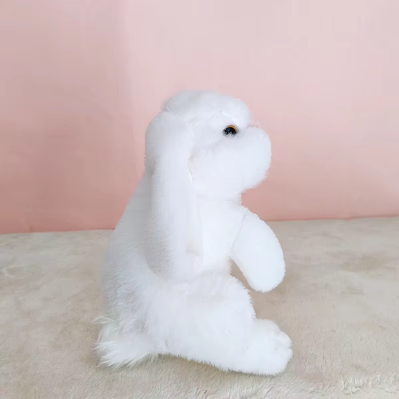 white rabbit