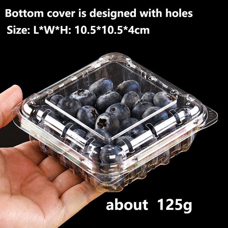 125g blueberry box
