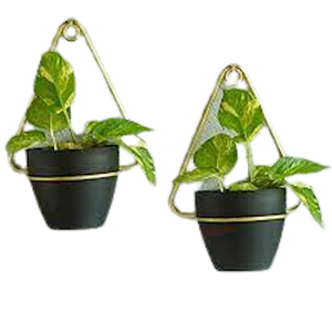 Ensemble de deux pots de fleurs suspendus en métal noir avec revêtement en poudre, design classique, pour la décoration de la maison et de mariage - Product Image 1