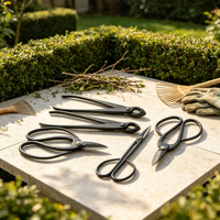 Kit d'outils professionnels pour bonsaï Smiletools/OEM avec cisailles de taille manuelles, modèle ST-FS001, pour l'entretien des plantes d'intérieur/extérieur - Noir