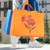 Bolsas de Compras Promocionales Ecológicas de Gran Capacidad, No Tejidas, con Diseño de Dibujos Animados, Correa de Hombro Reforzada, Reciclables