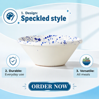 Ensemble de 2 bols en céramique faits à la main, motif éclaboussures bleu et or, plat de service décoratif pour la maison, la cuisine, la table, cadeau