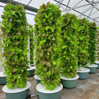 Système de Tour Hydroponique Verticale Polyvalent, Conçu pour la Culture de Légumes, d'Herbes Aromatiques et de Petits Fruits