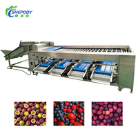 Shepody Automatische Fruit- en Groentesorteermachine Professionele Groente-gradueermachine voor Aardappel Wortel Pompoen Aubergine