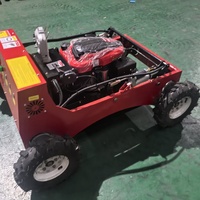 Cortacésped Industrial con Ruedas y Control Remoto de 550 mm con Caja Recolectora de Césped y Opción de Rueda para Césped, para Jardín, Granja y Bordes de Carreteras