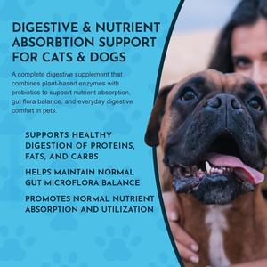 Suplemento Probiótico en Polvo para Mascotas ODM/OEM, Salud Digestiva para Perros y Gatos, Apoya el Equilibrio Intestinal - Product Image 5