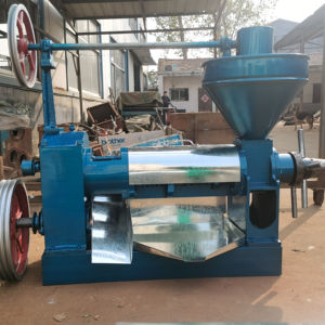 50-1500 kg/saat hardal soğuk presli yağ makinesi vida soya fıstık Palm Kernal yağ basın ekipmanları Copra badem yağ yapma makinesi - Product Image 3