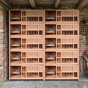 Gabbia Ecologica per l'Allevamento di Piccioni Viaggiatori, Nido in Legno per Piccioni da Allevamento - Product Image 1