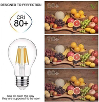 Ampoules LED en gros de Chine, ampoule à filament LED A60 7,5 W, DC12V 24V, dimmable par PWM