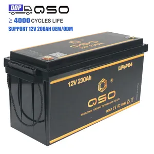 Qso新型深循环12v锂电池100A 100 200 300 Ah 24v 12.8 24 12v伏Lifepo4 12 V 200Ah 100Ah 300Ah太阳能电池