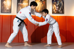 ชุดยิวยิตสูบราซิลสำหรับผู้ใหญ่และเด็ก แบบสั่งทำพิเศษ ชุดฝึกซ้อม BJJ รับผลิตแบบ OEM ODM ปักโลโก้ ชุดทีมสำหรับสถาบันฝึกสอน - Product Image 2