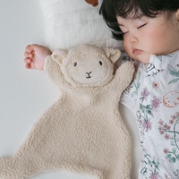 Lindo Oso de Peluche con Babero Antiderrames, Paño Suave para Limpiar Manos y Paño Calmante, Set de Regalo para Recién Nacidos e Infantes