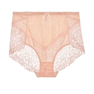 BEIZHI Full Lace Unterwäsche Floral Lace Sexy Durchsichtig Hochhaus Super Size Big Women Brief Höschen