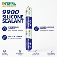 Scellant silicone neutre avancé 9900, résistant aux intempéries, anti-âge, haute résistance, liaison stable, pour véranda, murs-rideaux