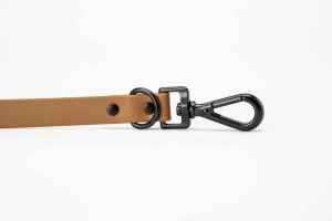 Conjunto de correa de <span class=keywords><strong>collar</strong></span> de perro con aspecto de cuero recubierto de PVC resistente a la intemperie resistente al agua - Product Image 3