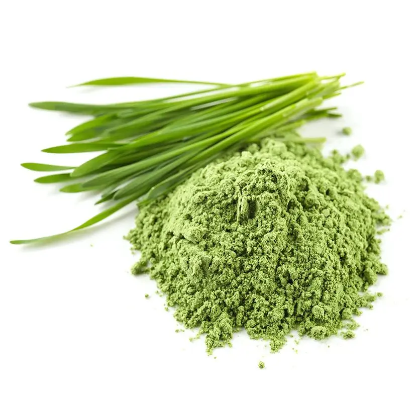 Supply high quality organic certified barley grass powder with cheap price for sale