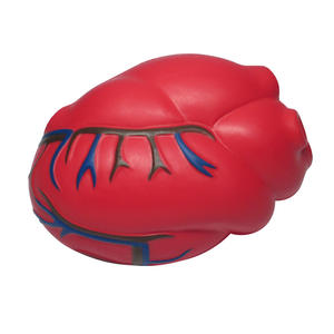 Balles anti-stress anatomiques personnalisées en forme <span class=keywords><strong>de</strong></span> cœur, avec logo promotionnel, en mousse PU, détails des veines, cadeau <span class=keywords><strong>de</strong></span> <span class=keywords><strong>cardiologie</strong></span>, pour bureau et éducation - Product Image 3