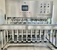 Automatische Schillijn Industriële mango Papaya Schilmachine Pomelo Sinaasappel Taro Lotuswortel