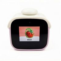 Lichte Koran China Dove Spray Bulk Telefoon Zwarte Wiel Paard Vogels Unieke Tech Klokken Horloge Wekker Met AI LLM Spraakgestuurde