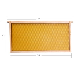 Colmena de Abejas Educativa Móvil de Una Caja, de Madera de Pino de Nueva Zelanda, para Apicultura - Product Image 4
