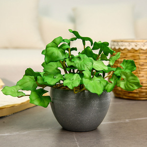 Yihua Floral Art, feuille de taro artificielle, bonsaï, petite, moyenne, grande, fleur en soie, décoration intérieure, style minimaliste, pot de plante - Product Image 2