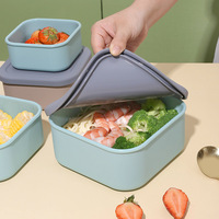 Boîte à lunch carrée en silicone de qualité alimentaire, étanche, écologique, compatible micro-ondes, chauffable, multifonctionnelle, à un seul niveau, 0-1L