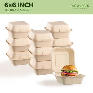 Custom a conchiglia in fibra vegetale eco-friendly usa e getta bagassa 6*6 3 vano a conchiglia di canna da zucchero bagassa contenitore Box - Product Image 2