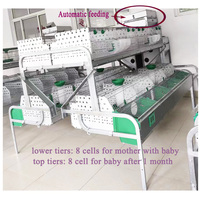 Cages à lapins automatiques de nouvelle conception pour l'élevage commercial, avec nichoir, pour lapines reproductrices