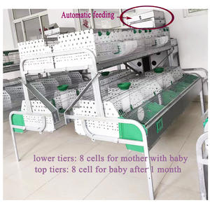 <span class=keywords><strong>Jaulas</strong></span> <span class=keywords><strong>de</strong></span> conejo automáticas <span class=keywords><strong>de</strong></span> nuevo diseño comercial con caja nido, <span class=keywords><strong>jaulas</strong></span> <span class=keywords><strong>de</strong></span> conejo <span class=keywords><strong>para</strong></span> cría <span class=keywords><strong>de</strong></span> conejos <span class=keywords><strong>para</strong></span> madres, cría <span class=keywords><strong>de</strong></span> conejos - Product Image 3