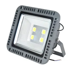 Vườn Ánh Sáng Ngoài Trời Led Flood Chiếu Sáng Mạnh Mẽ Nhất Led Spotlight 24V Tinh Khiết Trắng Với Giá Cả Cạnh Tranh 20W30W50W100W150W200W