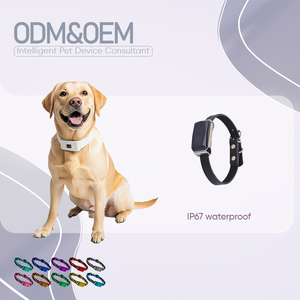 Bán buôn <span class=keywords><strong>2025</strong></span> thiết kế mới chống mất thông minh Pet <span class=keywords><strong>GPS</strong></span> Tracker cổ áo 4 gam thời gian thực có thể sạc lại cho vật nuôi hoạt động - Product Image 1