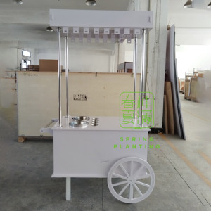 Baharlık Bitki Dikimleri Mobil Promosyon Standı Sokak Teşhir Standı Düğünler Etkinlikler için Şampanya Arabası Küçük Mobil Tezgah Şeker Arabası - Product Image 3