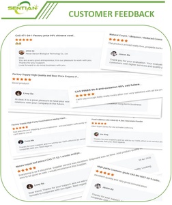 Tribulus Terrestrisエキスパウダー95サポニンTribulusTerrestris - Product Image 6