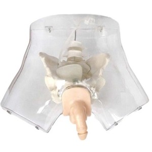 ตู้อบแห้งคุณภาพสูงสำหรับห้องปฏิบัติการ อุปกรณ์อบแห้งในห้องแล็บ - Product Image 3