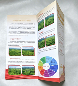 Brochure personnalisée à 3 volets, catalogue à prix abordable, <span class=keywords><strong>d</strong></span>épliant pour petites entreprises, impression sur carton pour prospectus - Product Image 4