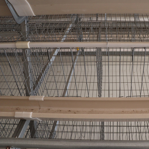 Concurrerende Prijs A-Vorm 160 Ei Kip Automatische Kooi-Uitrusting Nieuwe Staat Afrikaanse Pluimveebedrijf Kippenfokkerij - Product Image 6