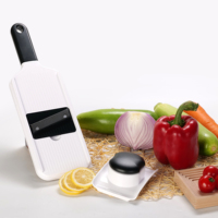 Nieuwe product plastic multifunctionele handmatige mandoline voedselhakker groente- en fruitsnijder kaasrasp