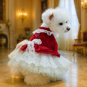 Ropa para mascotas PETCIRCLE, atuendos para perros y gatos, vestido de terciopelo con encaje y lazo. - Product Image 4