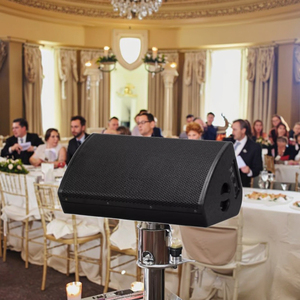 MS <span class=keywords><strong>Series</strong></span> 12 inch 15 inch chuyên nghiệp chống nghe loa, hiệu suất sân khấu, Loa sân khấu đám cưới, công suất cao - Product Image 4