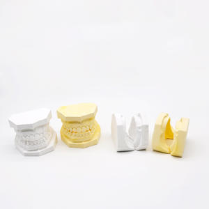 Modèles de plâtre dentaire électriques pour l'enseignement, mâchoire supérieure et inférieure sans dents, modèles de cavité buccale - Product Image 2