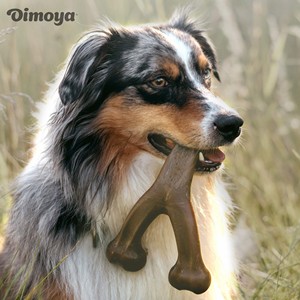 Tùy chỉnh con chó đồ chơi tương tác Trung bình bền con chó nhai đồ chơi cho đào tạo hung hăng chewers thú vị MOL Pet Đồ chơi xương - Product Image 6