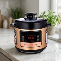 Cuisinière à pression électrique GB-PC510 6L 1000W, boîtier en acier inoxydable, cuve intérieure en fer-aluminium, contrôle par micro-ordinateur, usage domestique