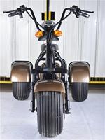 Scooter électrique à trois roues JINJIAN à double siège, très vendu en Europe, certifié EEC COC, 60V