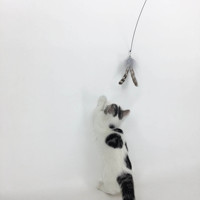 Jouet interactif en peluche plume chat bâton Teaser chat tige chaton ventouse avec plume cloches fil