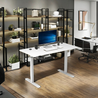 Bureau debout ergonomique à double moteur, table basse unique, extensible, style moderne du milieu du siècle, luxe nordique, acier, plateau en bois, 3 ans