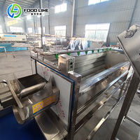 Nieuwe automatische productielijn voor het maken van diepvriesfrieten & aardappelchips, fruit & groente friteuse, 200kg/500kg/1000kg
