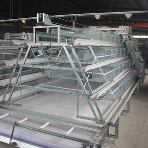 Jaula Automática Tipo A para Gallinas Ponedoras <span class=keywords><strong>de</strong></span> Granja Avícola, para Pollitas <span class=keywords><strong>de</strong></span> un Día, Buen <span class=keywords><strong>Precio</strong></span> - Product Image 3