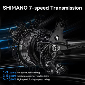 US EU Chứng Khoán mẫu miễn phí vận chuyển chất béo xe đạp 750W fatbike electrische Ebike bicicletta MTB Velo electrique chất béo lốp xe đạp điện - Product Image 3